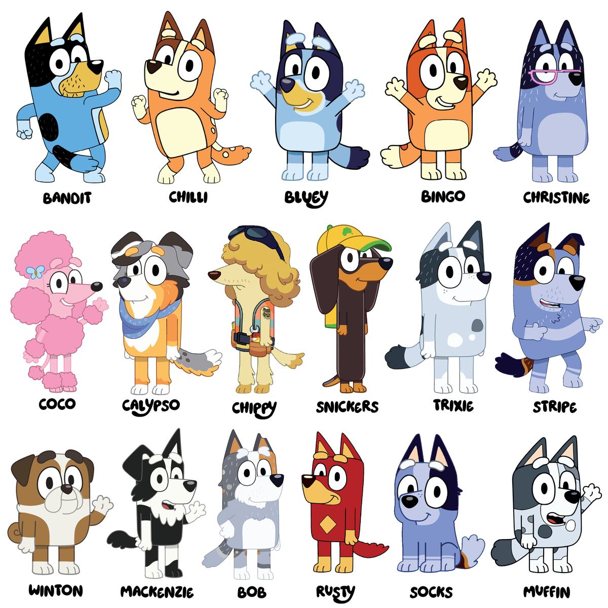 Bandit Jumper (Bluey's Dad) Personalised With Kids Names