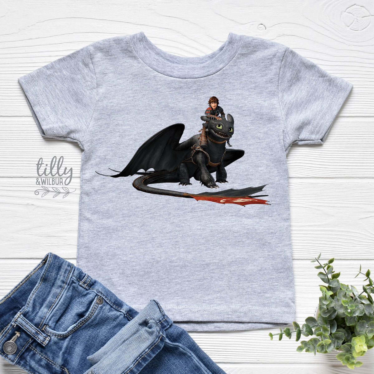 How To Train Your Dragon (MORE COLOURS & STYLES)