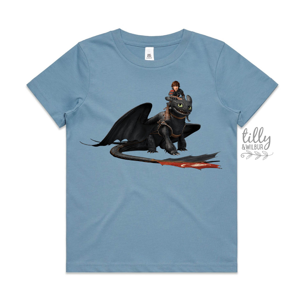 How To Train Your Dragon (MORE COLOURS & STYLES)