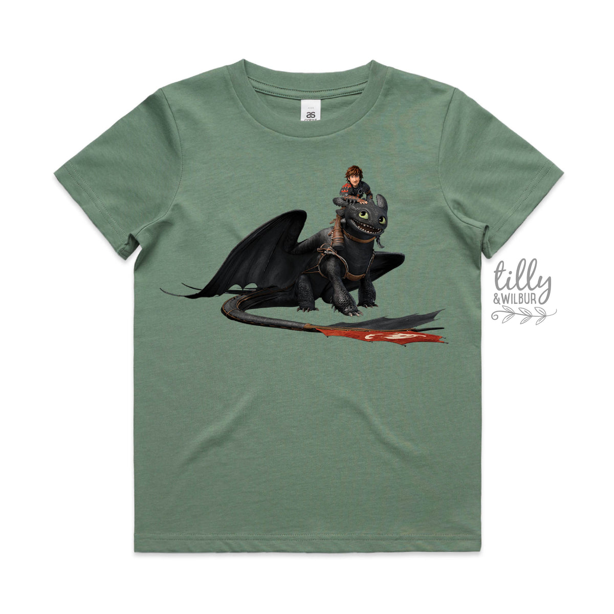 How To Train Your Dragon (MORE COLOURS & STYLES)