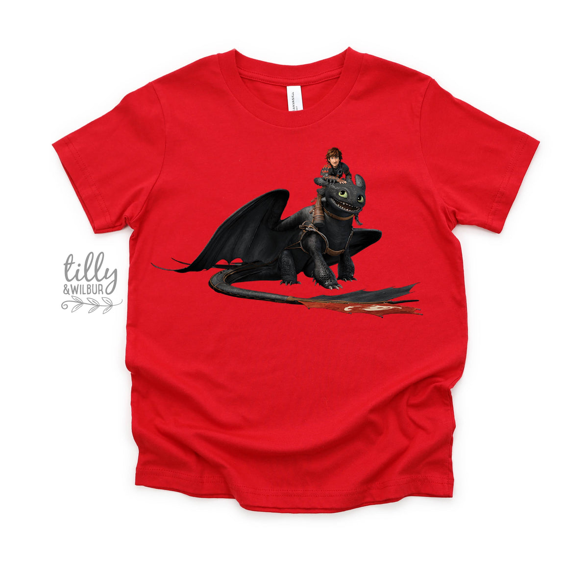 How To Train Your Dragon (MORE COLOURS & STYLES)