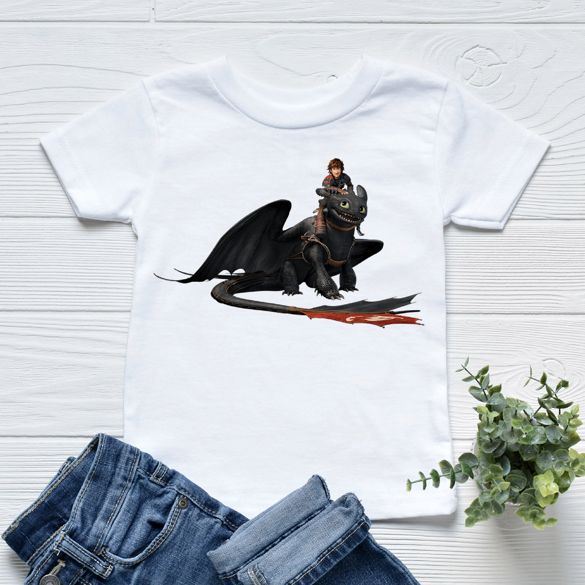 How To Train Your Dragon (MORE COLOURS & STYLES)