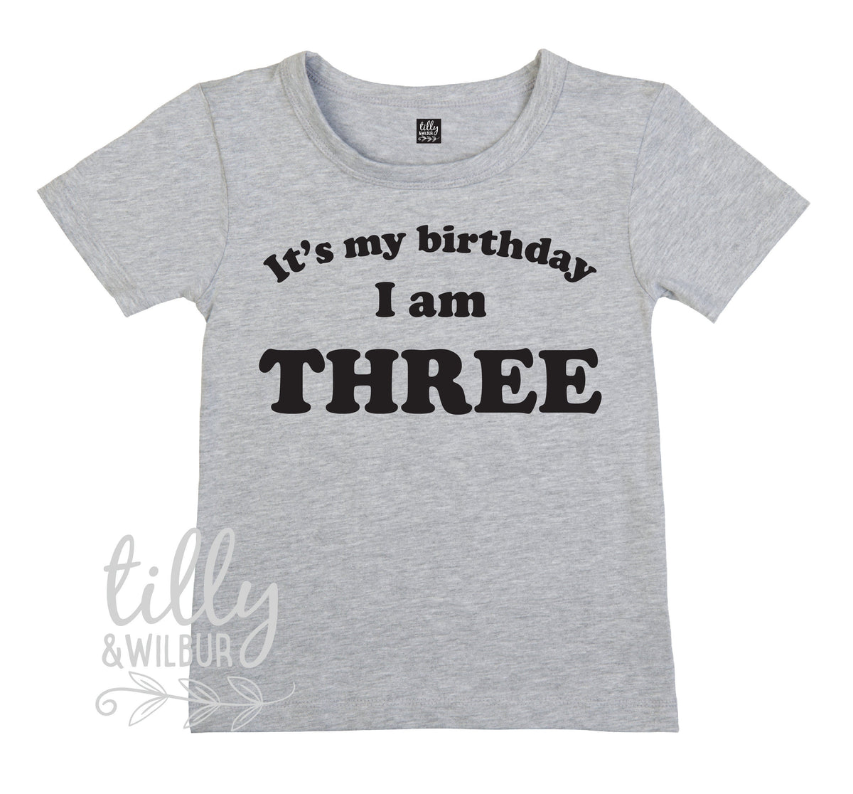 It's My Birthday I Am Three T-Shirt, I am Three Shirt, 3rd Birthday T-Shirt, Third Birthday T-Shirt, Three Today Shirt, Third Birthday Gift