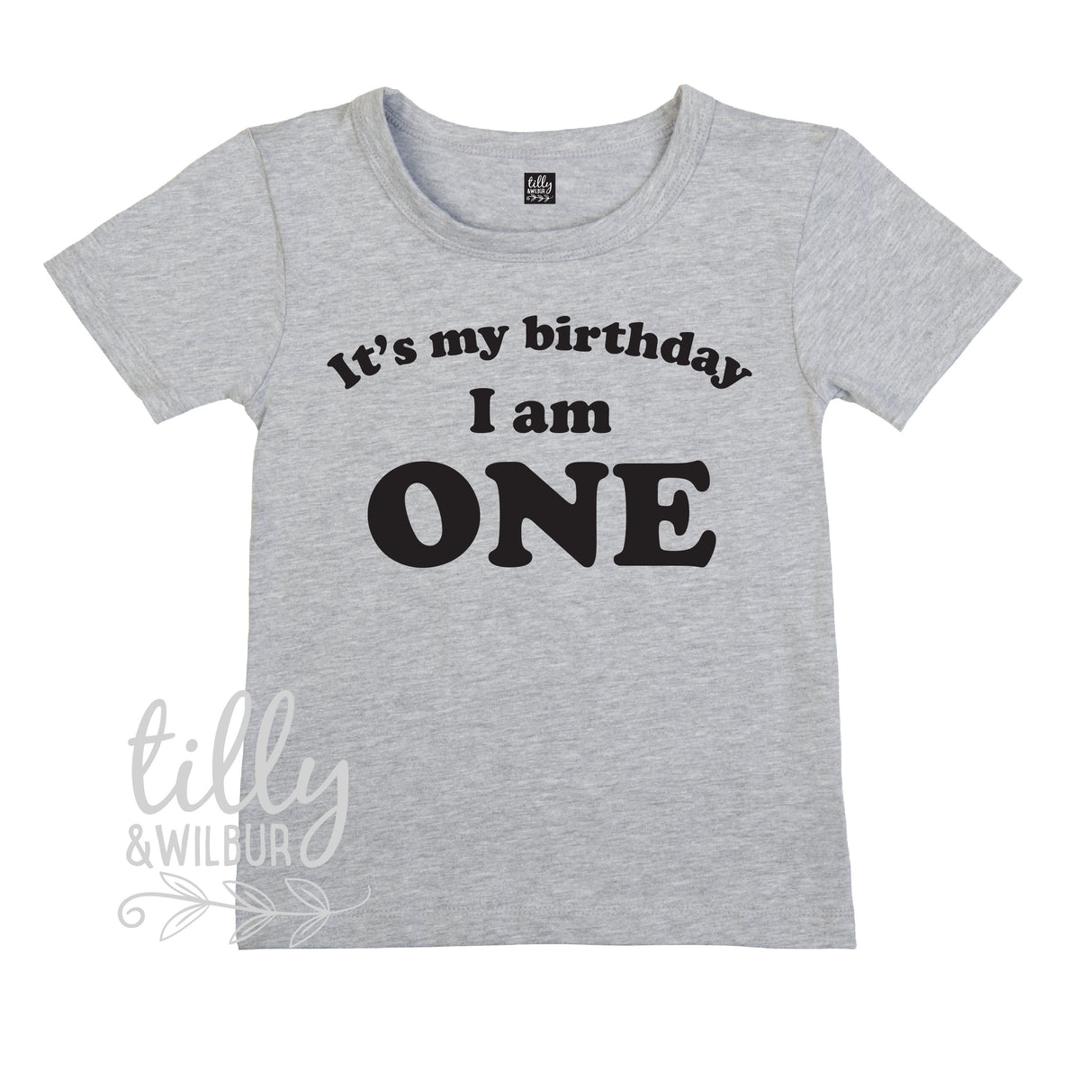 It's My Birthday I Am One T-Shirt, I am One Shirt, 1st Birthday T-Shirt, First Birthday T-Shirt, One Today Shirt, 1 Gift, One Gift, First