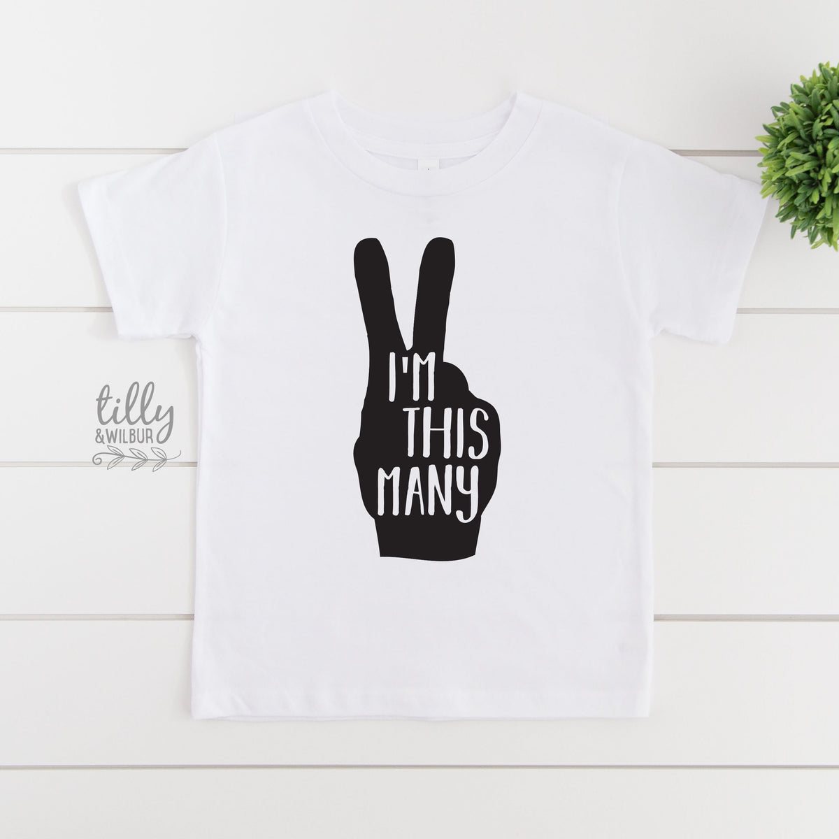 2nd Second Birthday T-Shirt, I'm This Many T-Shirt, Two Finger Birthday T-Shirt, Two Birthday Gift, Boys 2nd Birthday, Boys Birthday T-Shirt