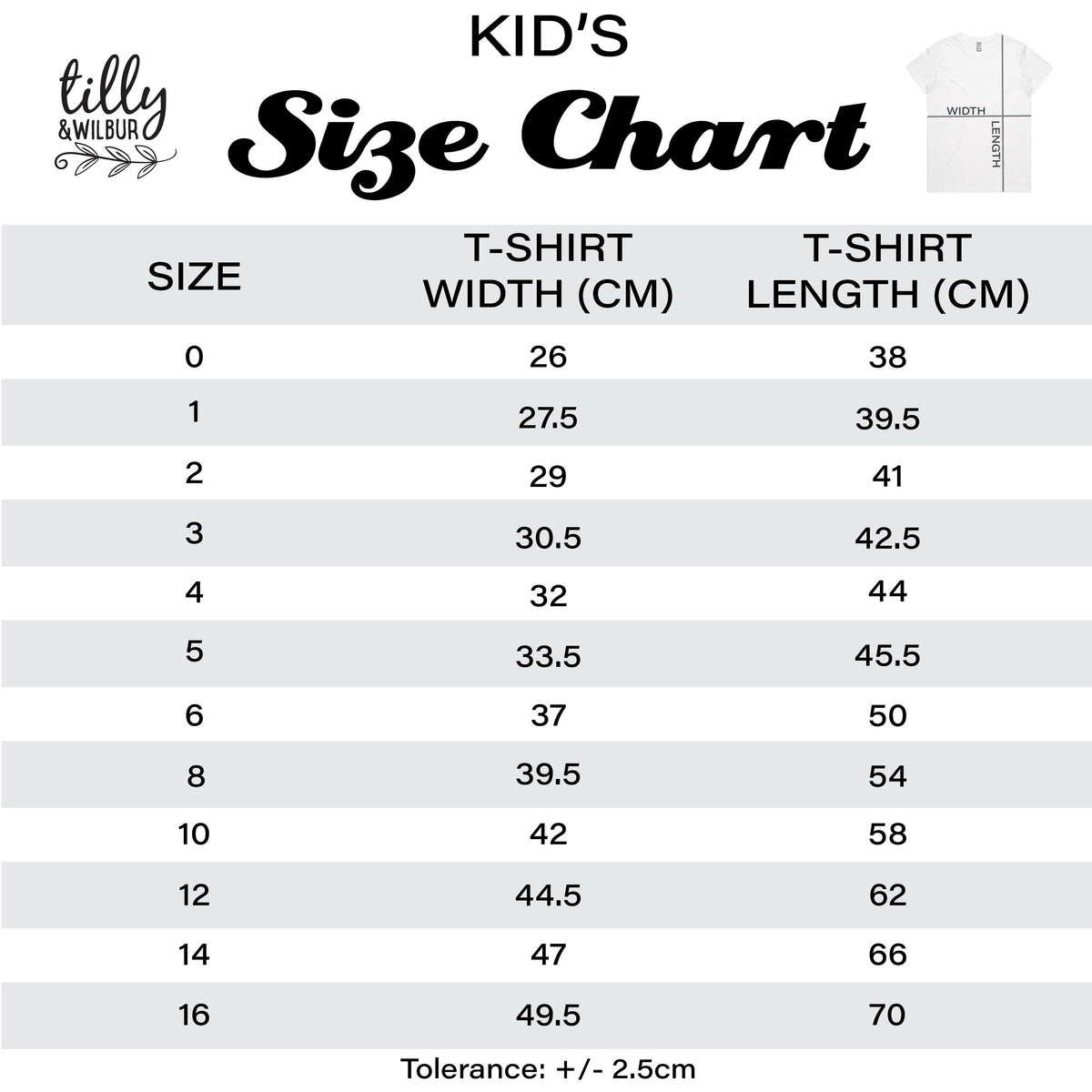 St Patrick's Day T-Shirt, Shenanigans Squad T-Shirt, Men's, Women's, Child's and Baby Sizing, St Patrick's Day Gnomes, Happy St Paddy's Day