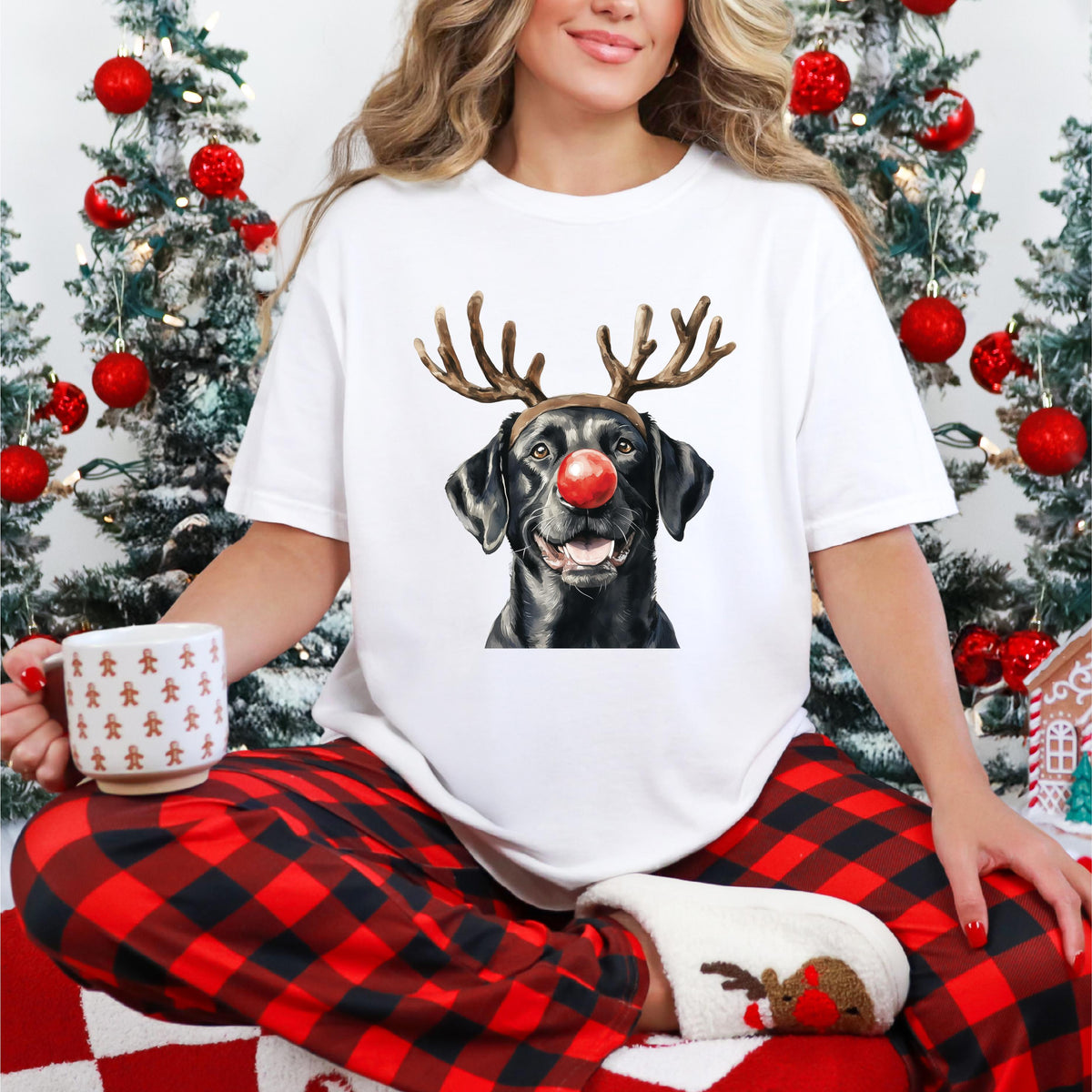 Labrador Christmas T-Shirt, Multiple Sizes And Colours, Rudolph Reindeer Dog
