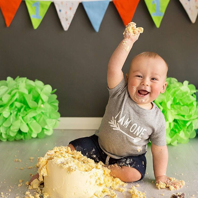 I Am One Birthday T-Shirt, 1st Birthday Gift, First Birthday Tee, Boho Design With Arrow, Teepee, Grey Cotton Short Sleeve Shirt, Cake Smash