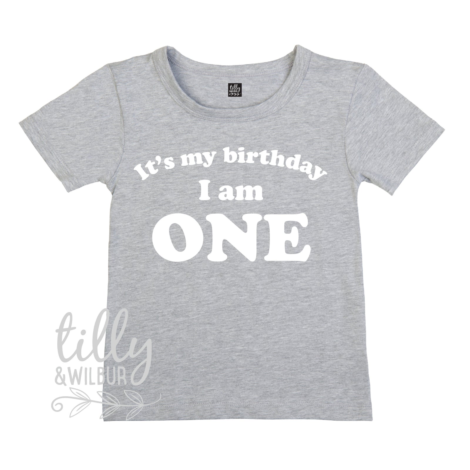 It&#39;s My Birthday I Am One T-Shirt, I am One Shirt, 1st Birthday T-Shirt, First Birthday T-Shirt, One Today Shirt, 1 Gift, One Gift, First