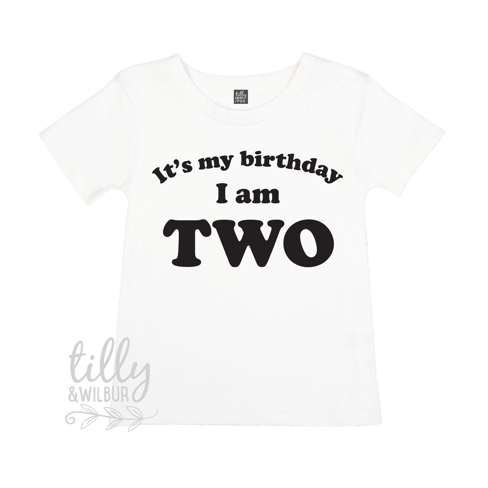 It&#39;s My Birthday I Am Two T-Shirt, I am Two Shirt, 2nd Birthday T-Shirt, Second Birthday T-Shirt, Two Today Shirt, Kids 2nd Birthday T-Shirt
