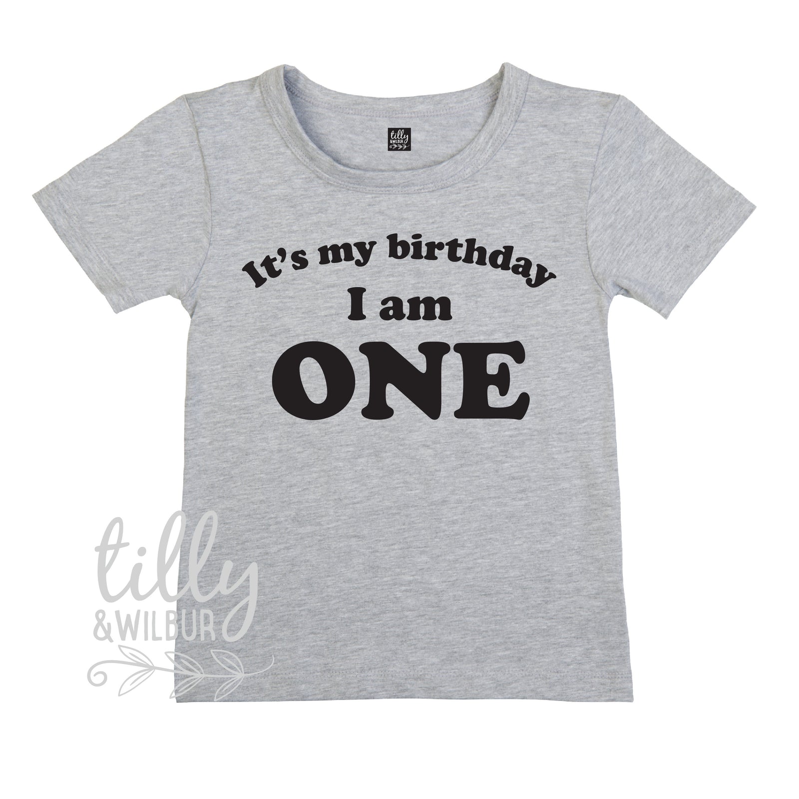 It&#39;s My Birthday I Am One T-Shirt, I am One Shirt, 1st Birthday T-Shirt, First Birthday T-Shirt, One Today Shirt, 1 Gift, One Gift, First