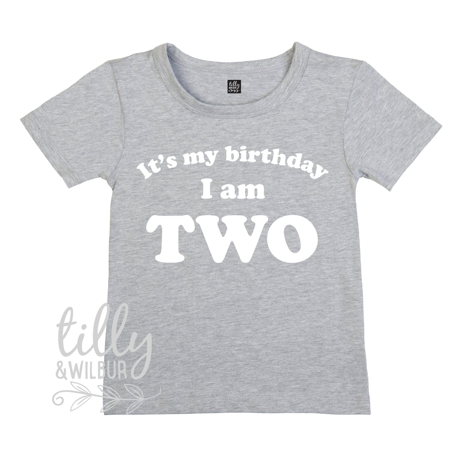 It&#39;s My Birthday I Am Two T-Shirt, I am Two Shirt, 2nd Birthday T-Shirt, Second Birthday T-Shirt, Two Today Shirt, Kids 2nd Birthday T-Shirt
