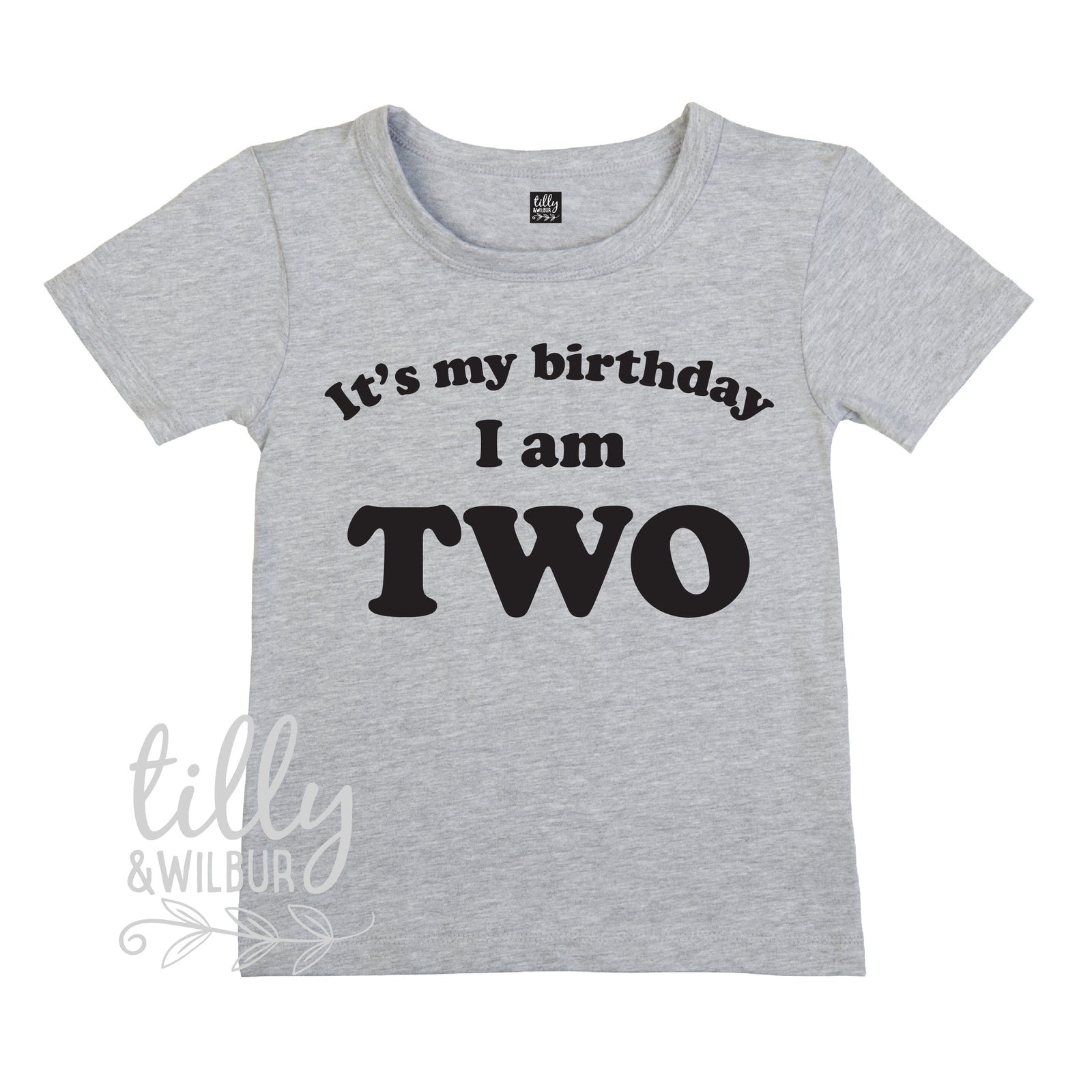 It&#39;s My Birthday I Am Two T-Shirt, I am Two Shirt, 2nd Birthday T-Shirt, Second Birthday T-Shirt, Two Today Shirt, Kids 2nd Birthday T-Shirt