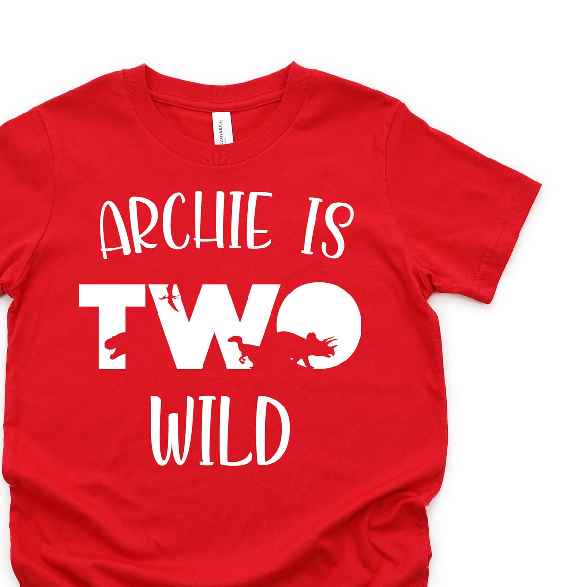 Two Wild Birthday T-Shirt, Two Wild Dinosaur T-Shirt, 2 Year Old Boy, Second Birthday Gift, 2nd Birthday Present, 2nd Birthday Outfit, Boy 2
