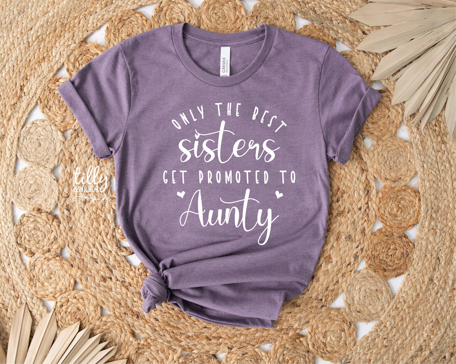 Only The Best Sisters Get Promoted To Aunty T-Shirt