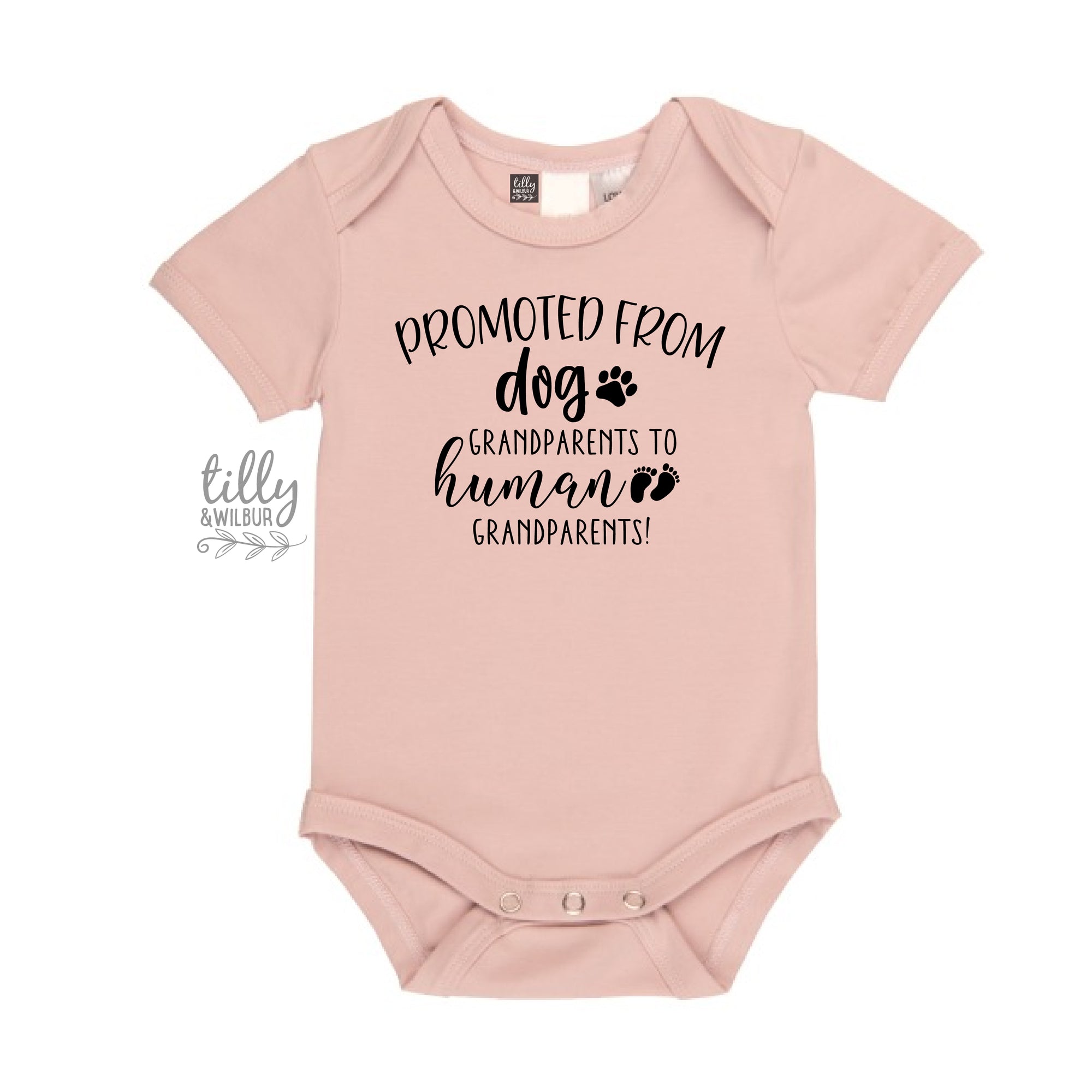 Promoted From Dog Grandparents To Human Grandparents Pregnancy Announcement Bodysuit